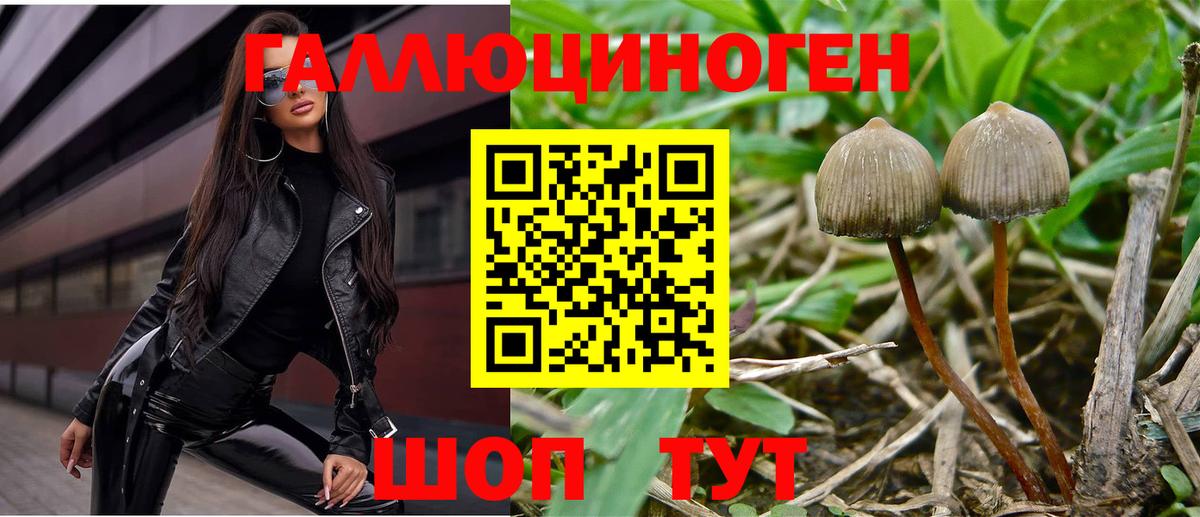 Галлюциногенные грибы Psilocybe  Вход с VPN  Галлюциногенные грибы мицелий  Реж 